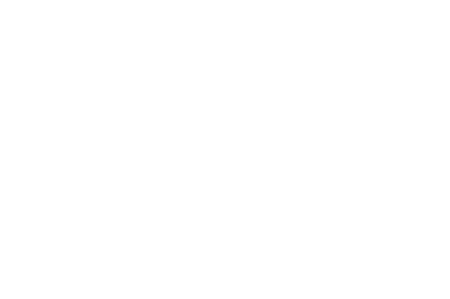 paperplantsband.com
